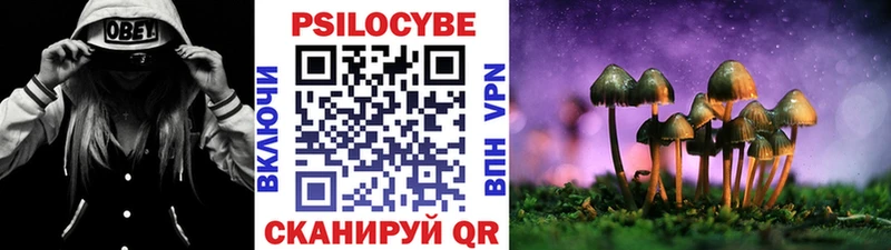 Галлюциногенные грибы GOLDEN TEACHER  сколько стоит  Приволжск 